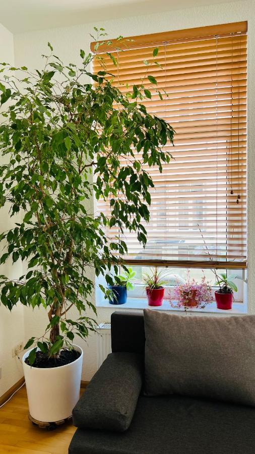 Grosses Und Helles Innenstadt Apartment - Ferienwohnung Bad Homburg vor der Höhe Exteriör bild
